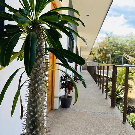 Hotel Samanu Sayulita Extérieur photo