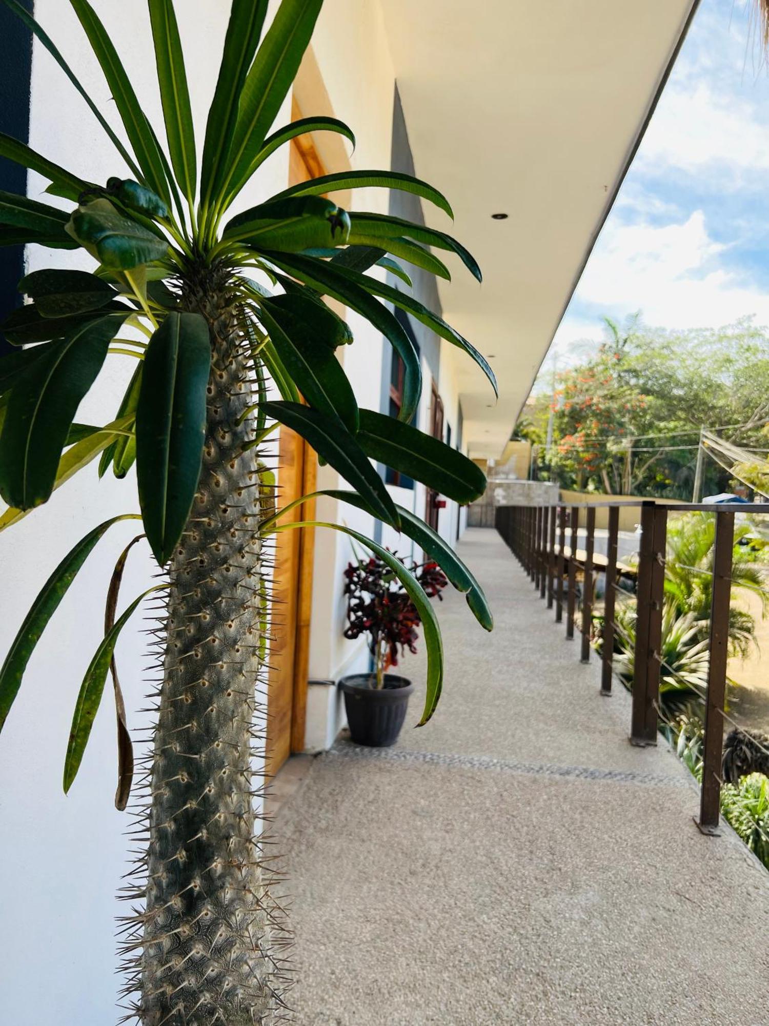 Hotel Samanu Sayulita Extérieur photo